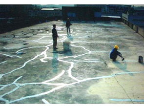 珠海外墻清洗、屋面整體防水補漏及管道疏通綜合服務解析