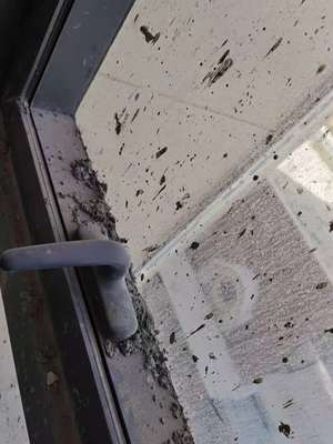 西寧專業(yè)保潔與維修服務(wù)指南 開(kāi)荒、精保潔、清洗及防水補(bǔ)漏