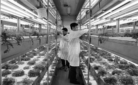 經(jīng)濟(jì)日報多媒體數(shù)字報刊