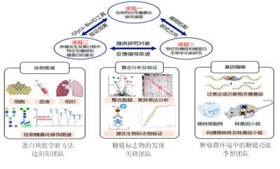 我校5人獲省杰青項目資助、4支團隊入選省重點科技創(chuàng)新團隊