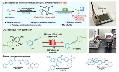 生物與制藥工程學(xué)院郭凱教授團(tuán)隊在Nature Communications報道微流場電化學(xué)合成領(lǐng)域新進(jìn)展