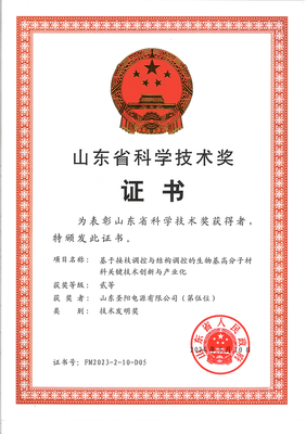 圣陽股份聯(lián)合申報(bào)項(xiàng)目榮獲山東省技術(shù)發(fā)明獎(jiǎng)二等獎(jiǎng)