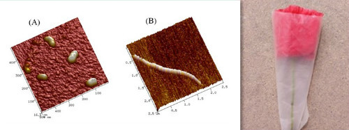 水保所在生態(tài)環(huán)境治理新型材料研發(fā)方面取得系列進展