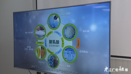 羅小云副省長赴潯調研聚乳酸全產業鏈項目，聚焦生物基材料研發新進展